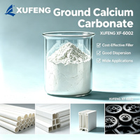 Carbonate de Calcium Industriel 700 Mesh, Pureté 97%, Poudre Blanche, Chargeur de Haute Performance pour le Compostage de PP Modifié (XF-6002)