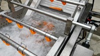 Multifunctionele Bubble Groente Reinigingsmachine En Fruit Reinigingsmachine Industrie