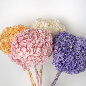 Fleur naturelle stabilisée Lijiang, <span class=keywords><strong>Hortensia</strong></span> à grandes feuilles, tige unique, pour décoration intérieure, ornement, bouquet, cadeau - Product Image 3