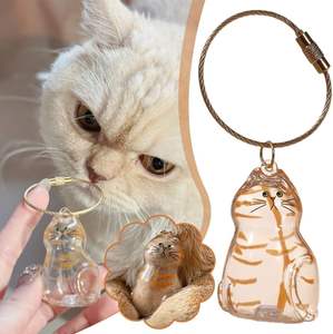 Porte-clés capsule commémorative portable en PVC de marque OEM pour poils de <span class=keywords><strong>chat</strong></span>, cadeau de souvenir pour les amoureux des chats et les propriétaires d'animaux, flacon de conservation des poils - Product Image 3