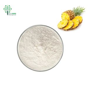 Bulk Food Supplement Pineapple Extract <strong>Bromelain</strong> &amp; Papain Powder 120000U/G 25kg Drum ISO Certified - Product Image 1