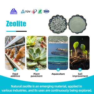 Medio Filtrante de <span class=keywords><strong>Zeolita</strong></span> a Precio de Fábrica para la Remediación de Aguas Subterráneas, Tratamiento de Contaminación por Metales Pesados, Muestra Gratuita - Product Image 3