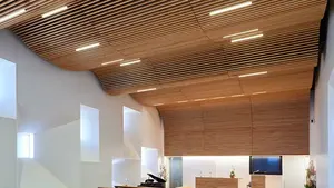 湾曲した音響天井パネルフレキシブル壁パネル湾曲したデザインの音響壁パネルMDF