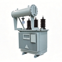Transformateur immergé dans l'huile 100 kVA 35 kV S11 triphasé abaisseur de tension 35 000 V à 400 V pour distribution extérieure