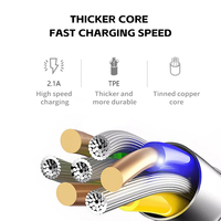 Câbles de charge biodégradables en paille tressée en nylon Données 3A Type C Câble de chargeur rapide USB écologique pour téléphone portable PC