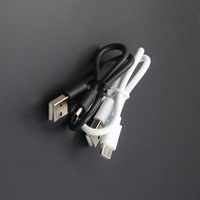 Câble USB C en gros 2A 20cm 25cm 30cm Câble de charge USB Type C pour téléphone portable Longueur personnalisée Logo disponible