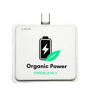 Einweg Mini papier kapsel power bank 2900mah individuelles logo und paket