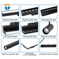 Système d'éclairage sur rail magnétique LED 48V avec interrupteur DIP, CCT réglable, spots, grilles, projecteurs et lampes murales, contrôle intelligent et dimmable