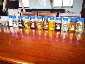 Maquinaria automática de aceite comestible Máquina prensadora expulsora de aceite de cocina de maní a la venta - Product Image 4