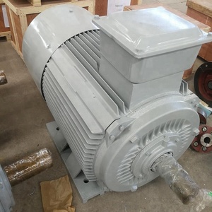 Controlador de Carga Eólica Bibo Sunshine Power YGDLF-150 en Oferta, Generador de Imán Permanente de Baja Velocidad de 150kW con Manivela Manual YG - Product Image 4