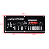 Papan Amplifier Mobil Lintas Batas Khusus untuk Subwoofer Audio Rumah 5.0 12V/24V/220V Bahan Besi 30-120W Mono
