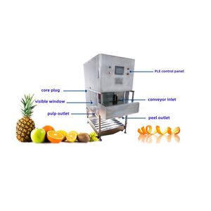 Machine commerciale entièrement automatique pour peler, écaler et trancher l'ananas, machine à écaler et à peler les mangues et les citrouilles - Product Image 3