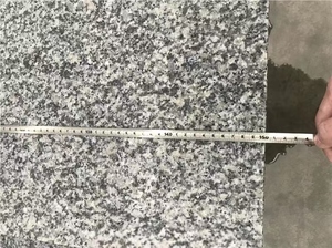 Grey Granite New G602 flamed bước & cầu thang - Product Image 3