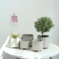 Pot de cactus de pots de plantes vertes de ciment de haute qualité avec des jambes en bois pour la décoration de jardin à la maison
