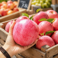 Chinese Shandong verse Fuji Red Delicious Gala appels met zoete smaak, sappig, vitamine-rijk, graad 1