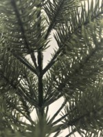 Décoration intérieure moderne et élégante Arbre artificiel vert luxuriant avec des feuilles en plastique Plante d'intérieur unique