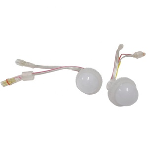 Luz led de píxel rgb de 26mm para Noria, lámpara de carrusel de conducción, rueda de 12v, gran oferta - Product Image 3