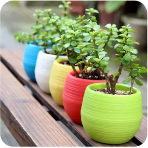 Pot Bunga Berkebun, Pot Bunga Plastik Mini Bulat Ramah Lingkungan