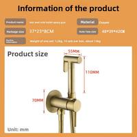 Ensemble pulvérisateur de bidet mural moderne en laiton chromé pour eau chaude/froide avec pression réglable et valve ronde écologique