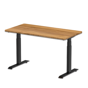 Nouveau style de table d'ordinateur avec cadre en métal, mobilier de bureau moderne pour la maison, bureau électrique moderne à hauteur réglable - Product Image 5
