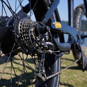 Tùy chỉnh Spec 250W 500W 750W 6061 hợp Kim Khung 26*4.0 inch 7 tốc độ Derailleur cổ điển điện tử xe đạp Ebike fatbike - Product Image 5