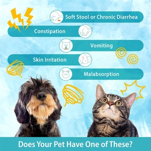 Taiwán hizo OEM ODM perro gato intestino salud digestiva y aumentar la inmunidad en polvo probióticos para mascotas - Product Image 5