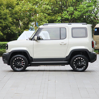 2024 2025 Nouvelle énergie Véhicule électrique Wuling Baojun Yep EV Mini SUV