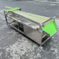 Machine de tri de fruits et légumes intégrée, trieuse de fruits et légumes à grande vitesse, trieuse d'avocats, classificatrice de calibre