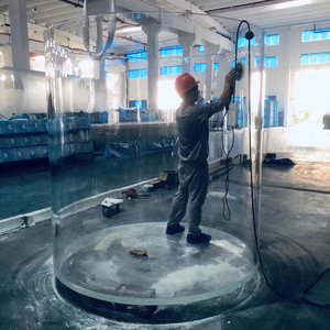 2025 Aquariumvissen Te Koop - Product Image 1