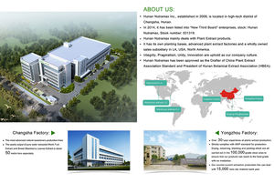 도매 스님 과일 분말 20%-50% Mogroside Luo 한 Guo 유기농 스님 과일 추출물 - Product Image 5