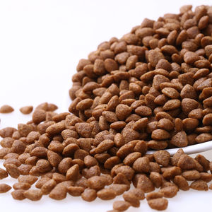 Extrudeuse à double vis certifiée CE Extrudeuse à double vis Ligne de production automatique d'aliments pour chiens de compagnie Nouvelle machine de fabrication d'aliments pour chiens - Product Image 4