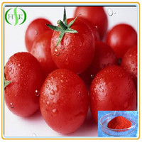 Natuurlijke Tomaat Extract Poeder 10% Lycopeen Poeder 5% 10% 98% Lycopeen 502-65-8