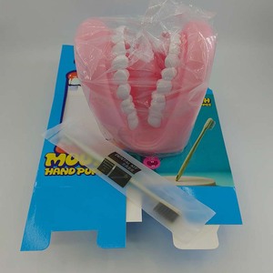 แบบจำลองฟันสีชมพูและสีผิว สำหรับการสอนและการฝึกอบรม - Product Image 4