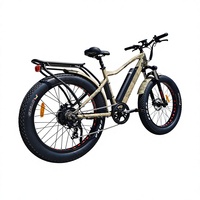 Vélo électrique à pneus larges avec moteur central 48V 750W, batterie au lithium 15Ah, frein à disque hydraulique, modèle adulte, autonomie jusqu'à 50 km