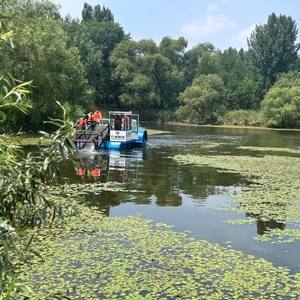 Machine compacte de récolte de plantes aquatiques, nettoyeur de bassins de poissons, bateau de coupe de laitues aquatiques et de roseaux, ramasseur de <span class=keywords><strong>d</strong></span>échets fluviaux - Product Image 1