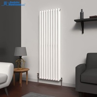 Radiateur personnalisé ovale double en acier, mural, moderne, solution de chauffage économe en énergie pour la maison, l'hôpital et l'école