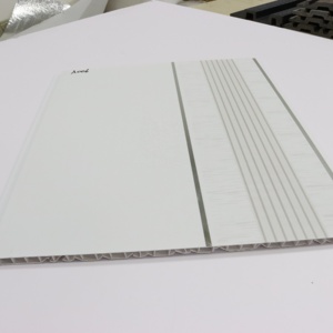 Trang Trí Nội Thất Thiết Kế Trần Giả Tấm Trần Pvc <span class=keywords><strong>Sky</strong></span> - Product Image 2