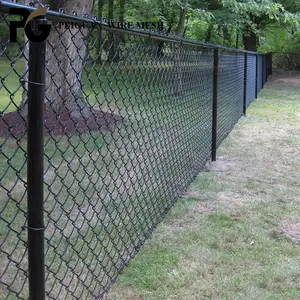 Clôture à maillons de chaîne noire d'apparence Fine de 5 pieds pour clôture de ferme