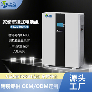 ระบบจัดเก็บพลังงานภายในบ้าน LiFePO4 51.2V 300Ah แบบติดผนัง ระบบไฮบริดกริด พร้อม Wifi สำหรับสำรองพลังงานแสงอาทิตย์ - Product Image 4