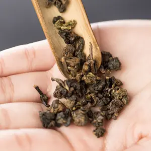 Famoso e sano GABA tè oolong da Taiwan con basso caffeina vendita calda prezzo di fabbrica gaba tè