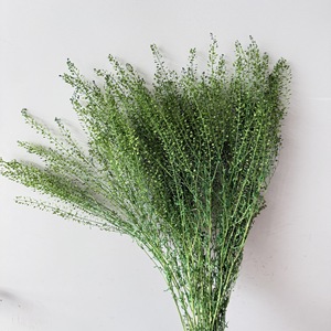 Mini Fiore Essiccato e Conservato per Cornici Artigianali, Candele e Creazioni Fai-da-Te in Resina Epossidica - Product Image 4