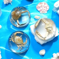 Collection de spécimens de crabes en résine - Crabes réels emprisonnés dans l'ambre, jouet éducatif scientifique, ornement de bureau et présentoir biologique