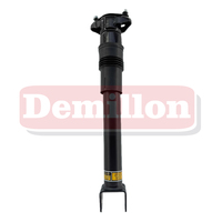 Amortisseur de suspension pneumatique de haute qualité Demillon 2513200631 2513201431 pour Benz Classe R W251 V251