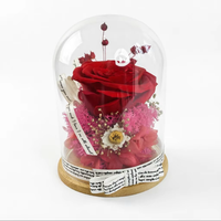Rose véritable préservée sous cloche en verre, boîte cadeau, fleur éternelle, cadeau d'anniversaire, fête des mères, mariage, pour petite amie, décoration de la maison