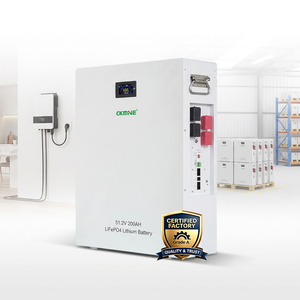 <span class=keywords><strong>แบ</strong></span><span class=keywords><strong>ต</strong></span>เตอรี่ CKMINE 10kWh 51.2V 200Ah LiFePO4 <span class=keywords><strong>ราคา</strong></span><span class=keywords><strong>ต</strong></span>่อรองได้ เกรด A รับผลิ<span class=keywords><strong>ต</strong></span>แบบ ODM OEM <span class=keywords><strong>แบ</strong></span>รนด์<span class=keywords><strong>ต</strong></span>ามสั่ง อินเวอร์เตอร์พลังงานแสงอาทิตย์ <span class=keywords><strong>แบ</strong></span><span class=keywords><strong>ต</strong></span>เตอรี่ลิเธียมไอออน - Product Image 1