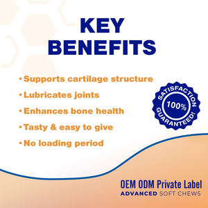 פרמיה כלבים בריאות תוספי מזון משותף כלב טבעי תוספת גלוקוזאמין <span class=keywords><strong>msm</strong></span> עבור תמיכה מפרק הירך תמיכה ניידות טיפול לחיות מחמד - Product Image 5
