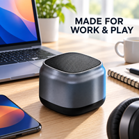 Haut-parleur BT portable, mini enceinte sans fil, basses puissantes, corps métallique, BT 5.1, son HD 0-5W pour voiture, bureau