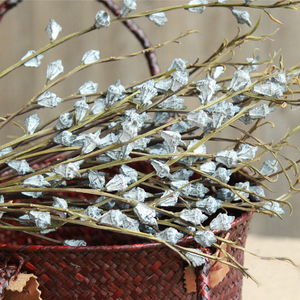 CAELL <span class=keywords><strong>Etsy</strong></span> Vente Flash Fruits d'eucalyptus pour vases Fleur séchée longue durée pour la décoration de la maison 100% Feuilles d'eucalyptus naturelles - Product Image 3