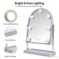Miroir de maquillage LED personnalisé avec logo sur mesure OEM ODM, finition argentée en métal, 3 modes de couleur, lumières à intensité réglable, USB