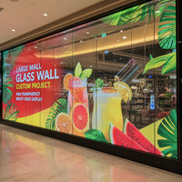 Pantalla LED Transparente de Gran Formato para Paredes de Cristal de Centros Comerciales, Pantalla de Cristal Completa